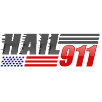 Hail-991 Logo